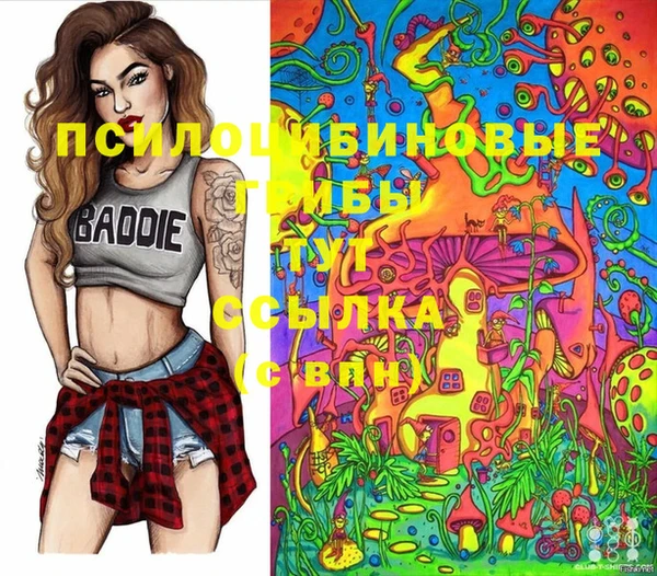 дмт Алексин